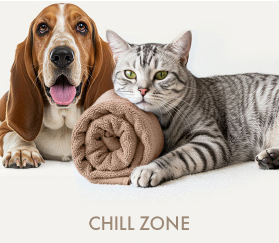 CHILL ZONE