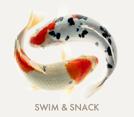 SWIM & SNACK