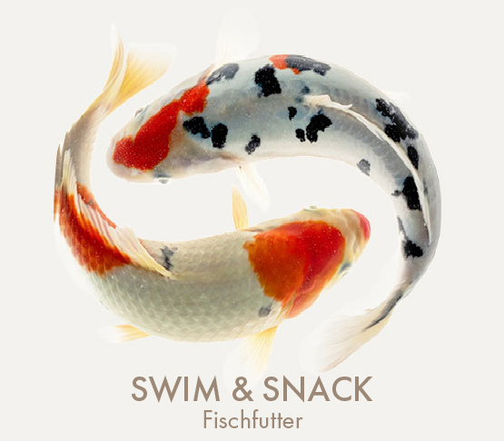 SWIM & SNACK