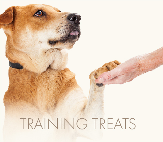 Przysmaki treningowe