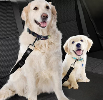 Autosicherheitsgurt für Hund, Katze