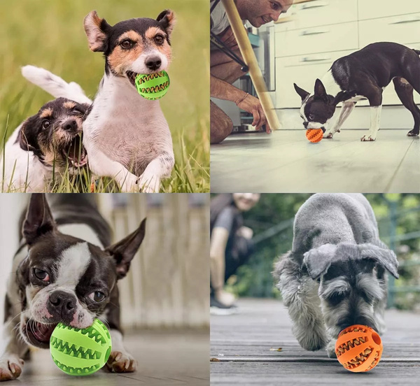 Ball for dog treats SNACK BOWL