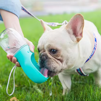 Hunde-Reiseflasche 350 ml türkis