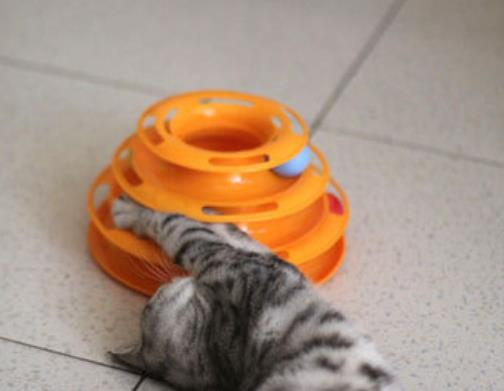Cat toy tower with balls