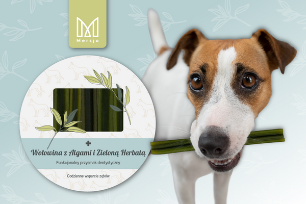 Zahnpflegesnack für Hunde Dental Sticks Mersjo Rind Algen Grüntee 7 Stück