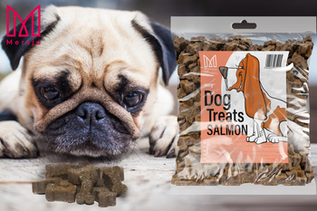 Hundeleckerli - Mersjo Lachs Hundetrainer 500g