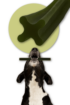 Dental Care Snack for Dogs Dental Sticks Mersjo Beef Algae Green Tea 7 Pieces