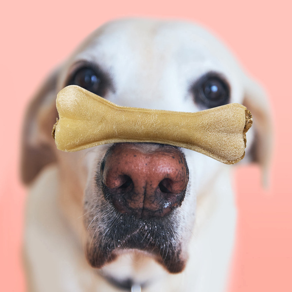 MERSJO dog chew bone with rumen and multivitamins 13.5cm - vitality