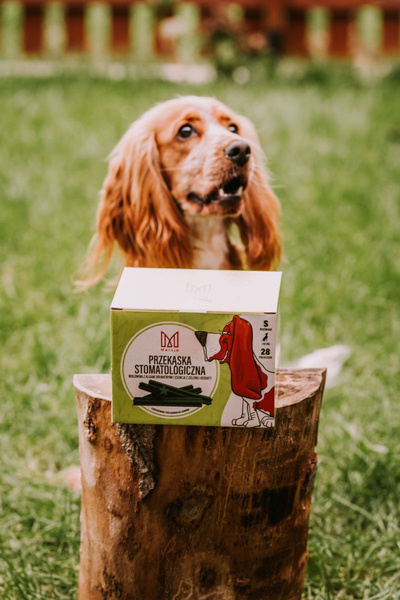 Zahnsnack für Hunde Dental Sticks, natürlicher Zahnsnack, gesunde Zähne und Zahnfleisch, zum Verwöhnen und als Ergänzung zu einer gesunden Ernährung - S 28 Stück