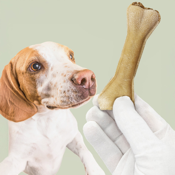 MERSJO dog chew bone with rumen and multivitamins 13.5cm - vitality