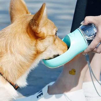 Hunde-Reiseflasche 350 ml türkis