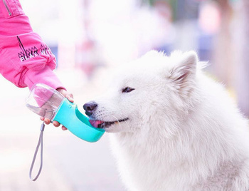 Hunde-Reiseflasche 350 ml türkis