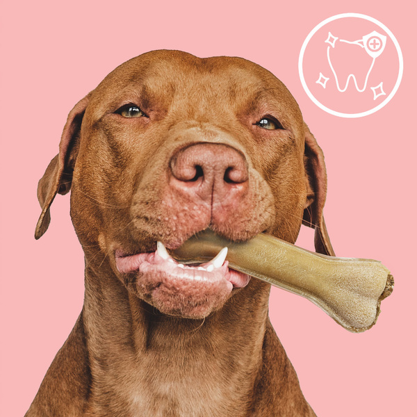 MERSJO dog chew bone with rumen and multivitamins 13.5cm - vitality