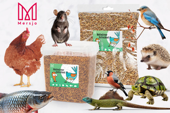 Getrocknete Larven der Weißen Fliege, Futter für Koi, Nager, Igel, Vögel, Reptilien, Fische, Mersjo 6,5l 1kg