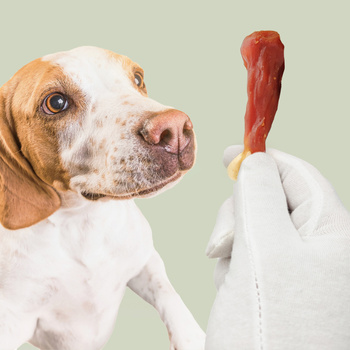 Duck leg with calcium, natural dog treat, Mersjo, WildLeg, 500g