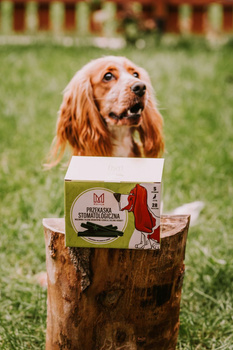 Zahnsnack für Hunde Dental Sticks, natürlicher Zahnsnack, gesunde Zähne und Zahnfleisch, zum Verwöhnen und als Ergänzung zu einer gesunden Ernährung - S 28 Stück