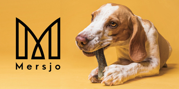 MERSJO Lachs-Kauknochen für Hunde 13,5 cm - gesunde Haut und gesundes Fell