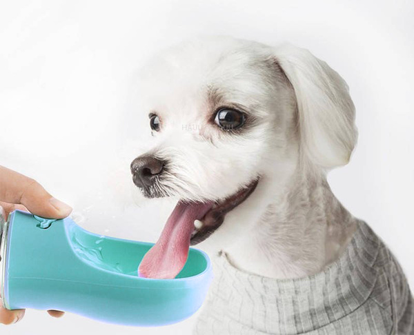 Hunde-Reiseflasche 350 ml türkis