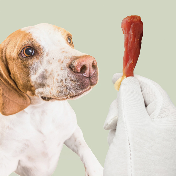 Duck leg with calcium, natural dog treat, Mersjo, WildLeg, 500g