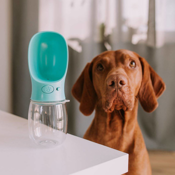 Hunde-Reiseflasche 350 ml türkis