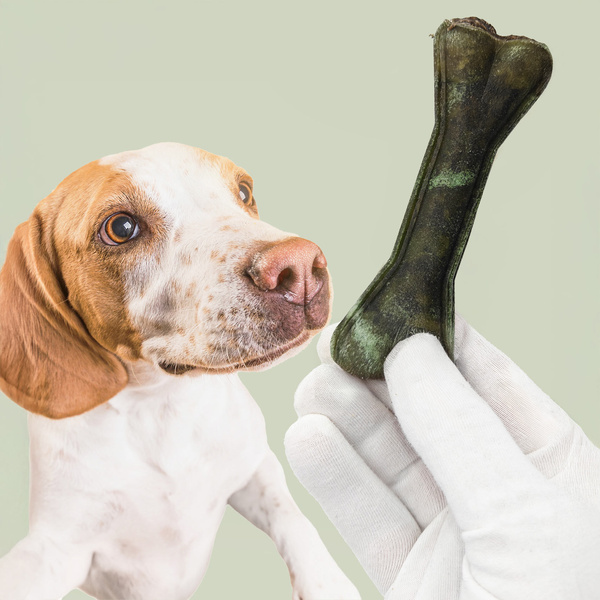MERSJO Wachtel Kauknochen für Hunde 13,5 cm - Frischer Atem
