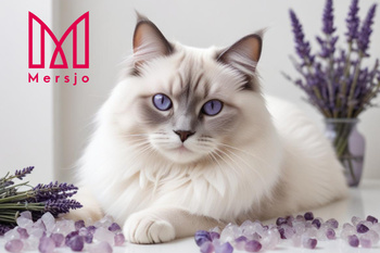 Mersjo Lavender silicone cat litter 5x3.8L