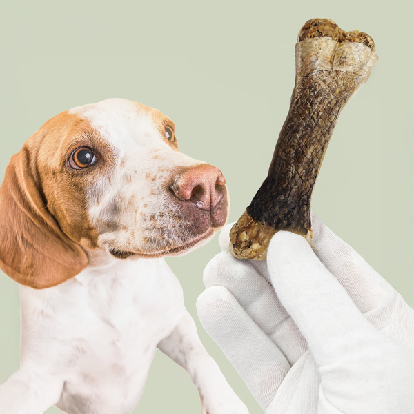 MERSJO Lachs-Kauknochen für Hunde 13,5 cm - gesunde Haut und gesundes Fell
