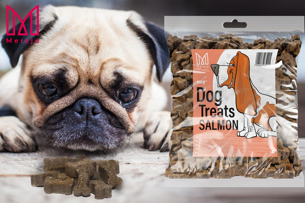 Hundeleckerli - Mersjo Lachs Hundetrainer 500g