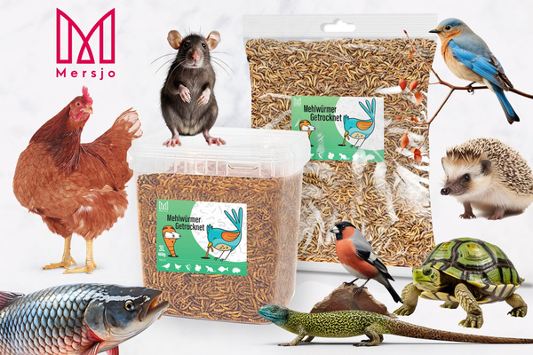 Getrocknete Larven der Weißen Fliege, Futter für Koi, Nager, Igel, Vögel, Reptilien, Fische, Mersjo 6,5l 1kg