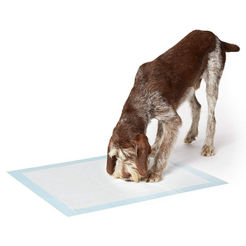 Hygieneeinlagen für Tiere L 60x60 (100 Stück)