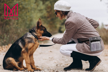 Dog treat bag, treat pouch, AXEL