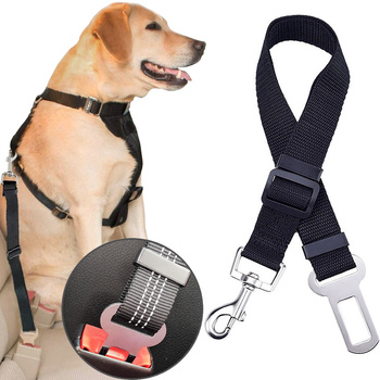 Autosicherheitsgurt für Hund, Katze